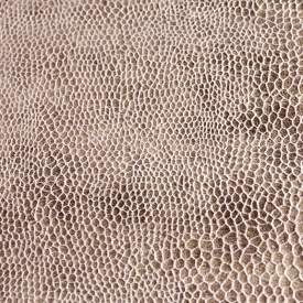 Омега - Omega Омега - Omega