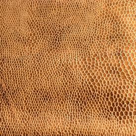 Омега - Omega Омега - Omega