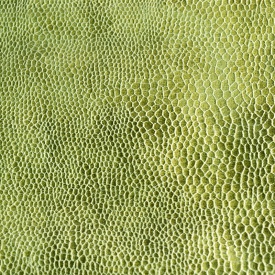 Омега - Omega Омега - Omega