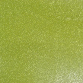 Колизей - Coliseum Колизей - Coliseum