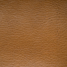 Кондор - Kondor Кондор - Kondor