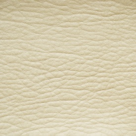 Кондор - Kondor Кондор - Kondor