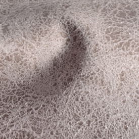 Вектра - Veсtra