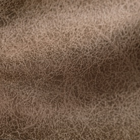 Вектра - Veсtra