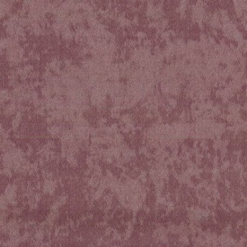 Флора Флора